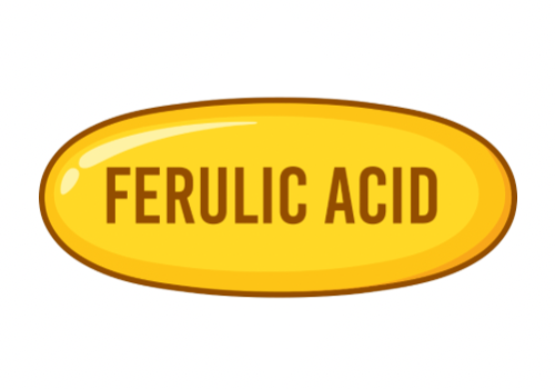 Ferulic Acid in Skincare: What It Is and Why It’s So Effective
