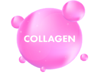 What is Collagen and why should we care?